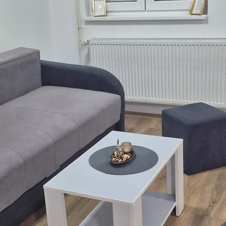 Apartman Jovanovic Royal Banja Koviljača